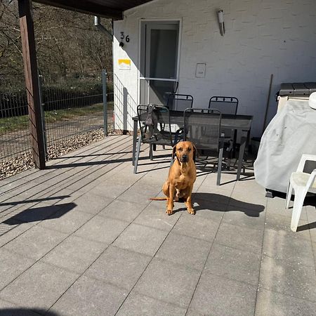 Ferienhaus Stausee Bitburg Biersdorf 외부 사진