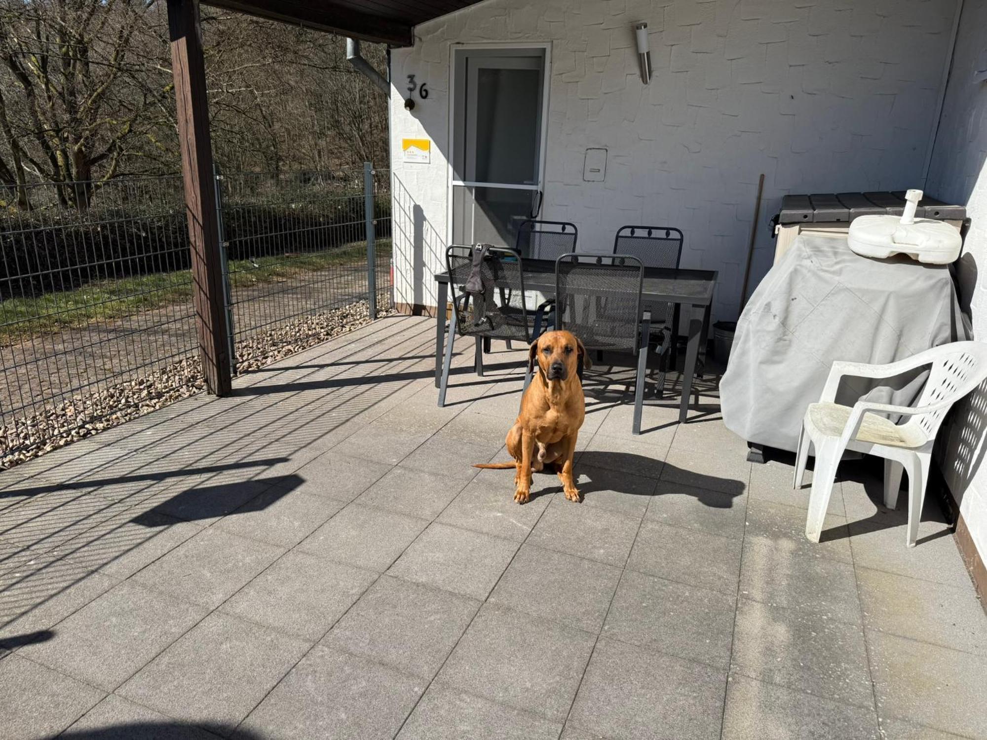 Ferienhaus Stausee Bitburg Biersdorf 외부 사진
