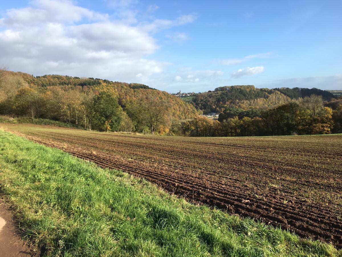 Ferienhaus Stausee Bitburg Biersdorf 외부 사진